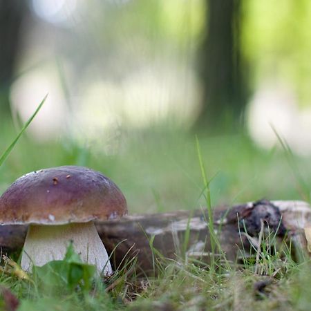 Rodinny Penzion U Wolfu Chrastava Zewnętrze zdjęcie